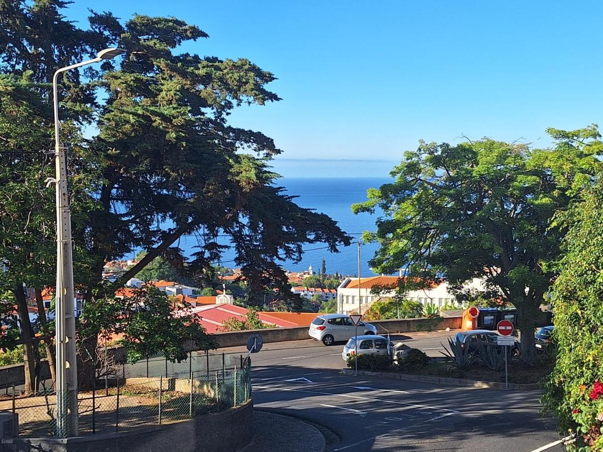 Funchal Apartments - New Botanic Garden Petit Studios المظهر الخارجي الصورة