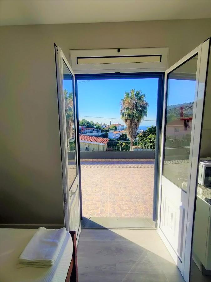 Funchal Apartments - New Botanic Garden Petit Studios المظهر الخارجي الصورة
